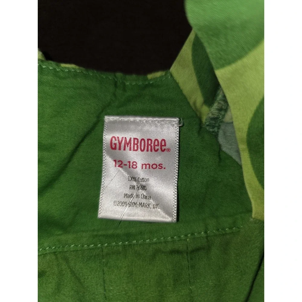 Gymboree a pop of daisies top and sweatshirt size 12‎ 18 months